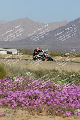 media/Feb-04-2023-SoCal Trackdays (Sat) [[8a776bf2c3]]/Turn 15 Inside Blooming (1050am)/